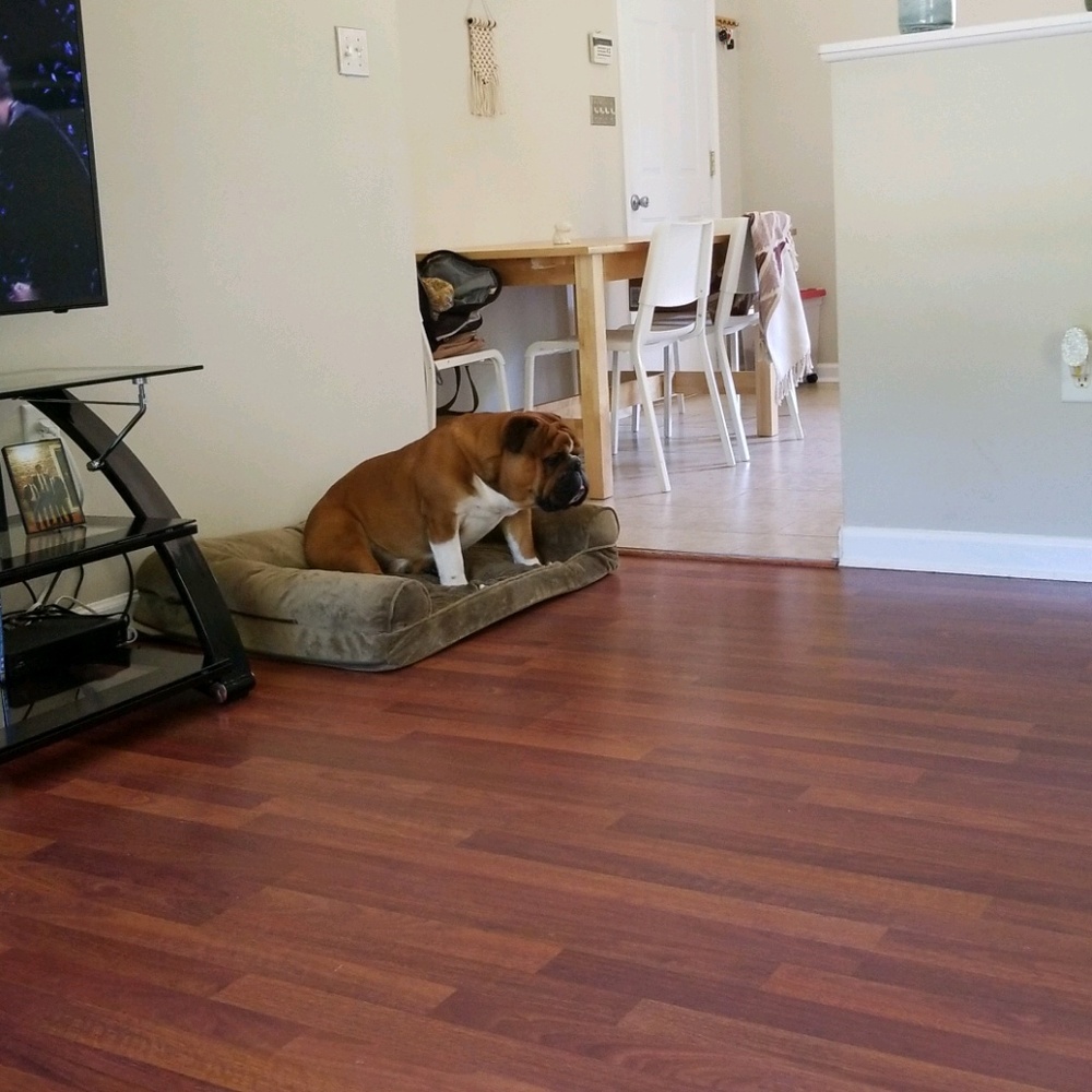 Meet your Posher, Moriah